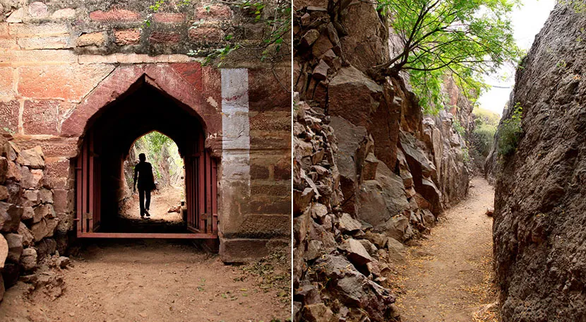 Rao Jodha Desert Rock Park